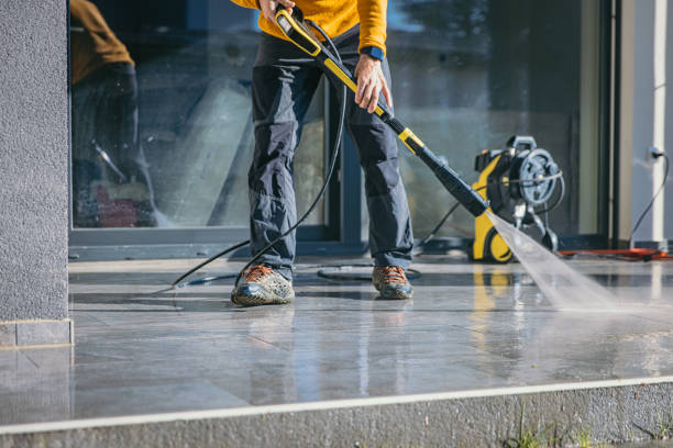 Best Sidewalk and Walkway Cleaning  in Camanche, IA